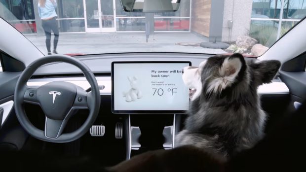 Le Dog Mode de Tesla